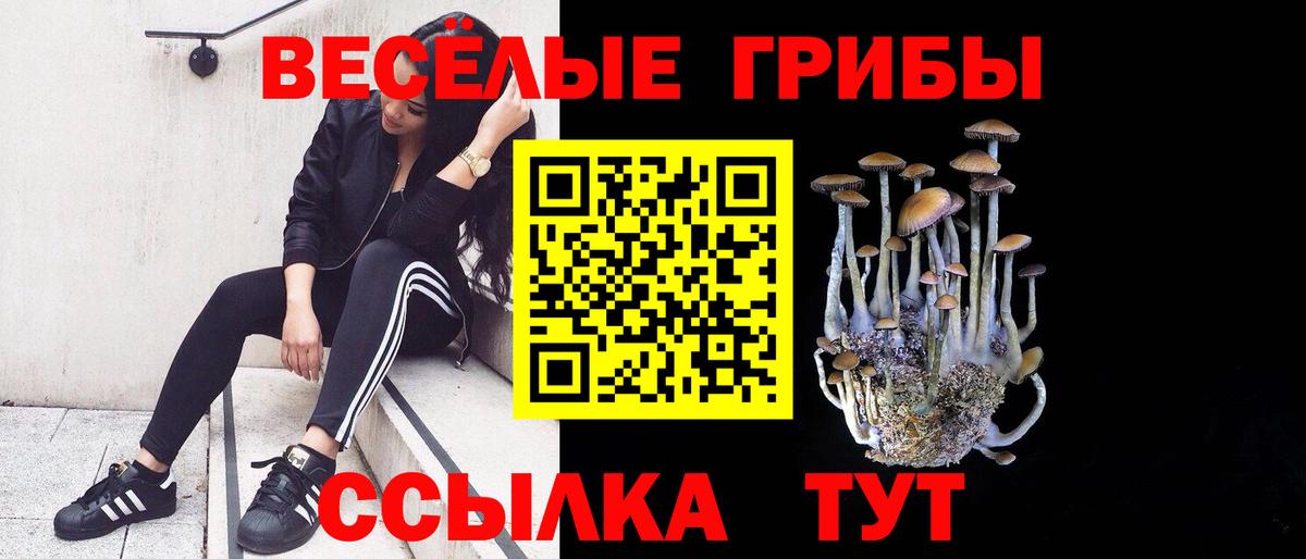 Галлюциногенные грибы прущие грибы  Вход с VPN  Псилоцибиновые грибы Psilocybe  Шарыпово 